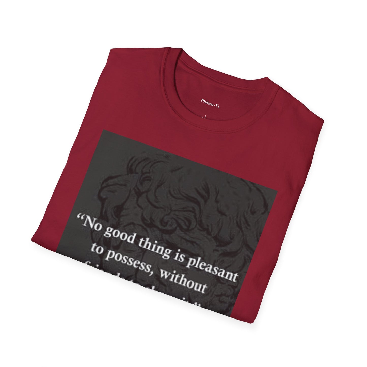 Unisex Softstyle T-Shirt - "No Good Thing is Pleasant to Possess, Without Friends to Share It" - Inspirational Quote Tee